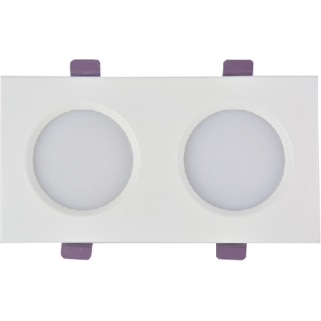 D50國(guó)光 14W雙頭 黑和白