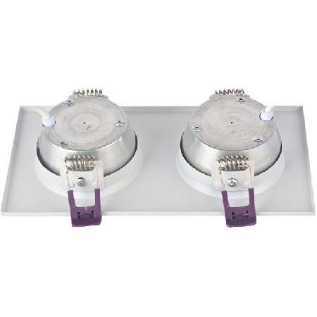 D50國(guó)光 14W雙頭 黑和白