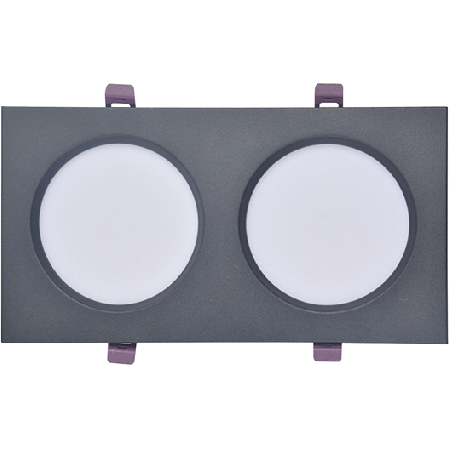 D50國(guó)光 14W雙頭 黑和白