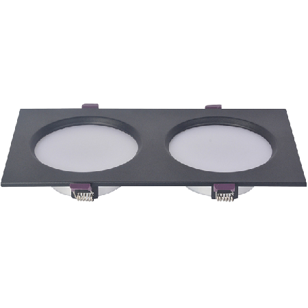 D50國(guó)光 14W雙頭 黑和白